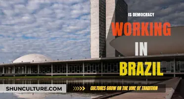 Is Democracy Functioning in Brazil? Challenges and Opportunities in 2023