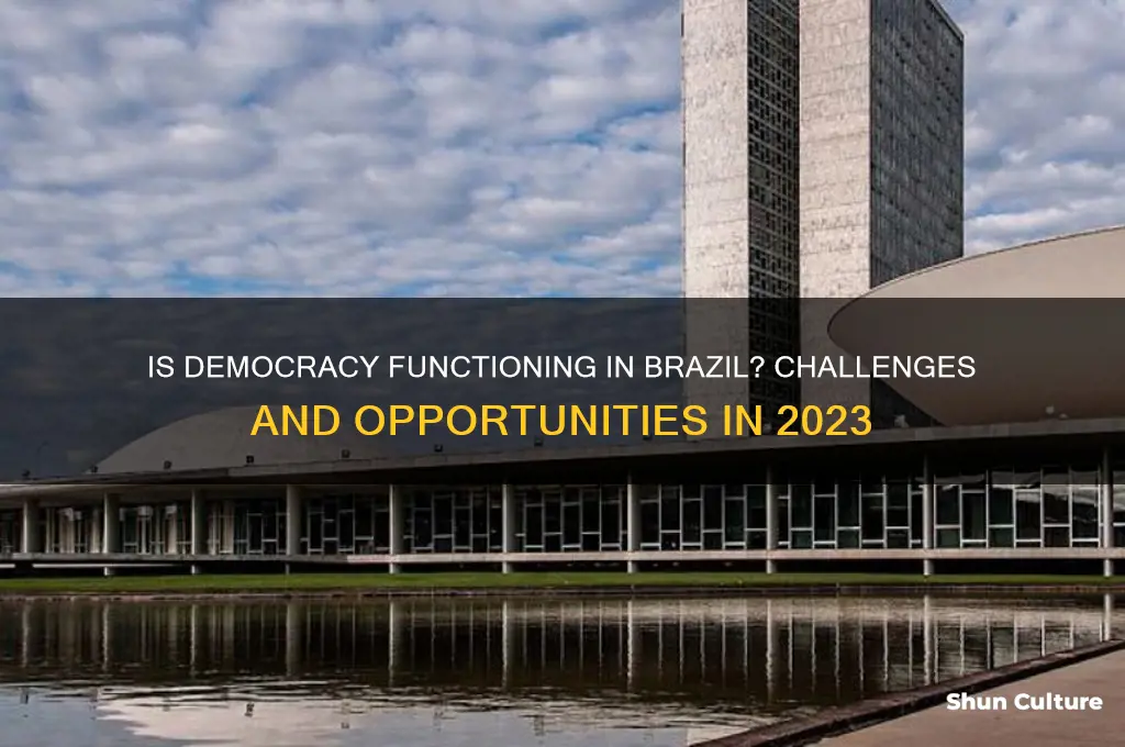 is democracy working in brazil