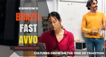 Is Deportation to Brazil Fast? Avvo Insights and Legal Guidance