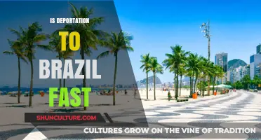 How Fast is Deportation to Brazil? A Detailed Process Overview