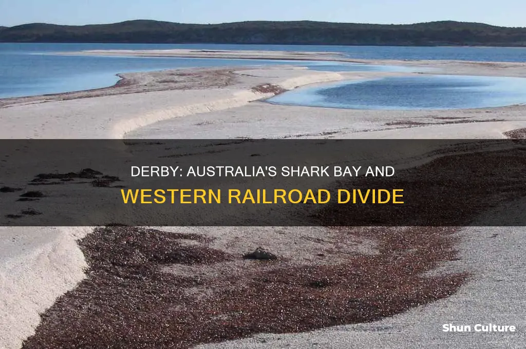 is derby australia between shark bay and western railroad