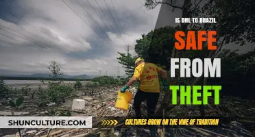 Is DHL Shipping to Brazil Secure Against Theft? Key Insights