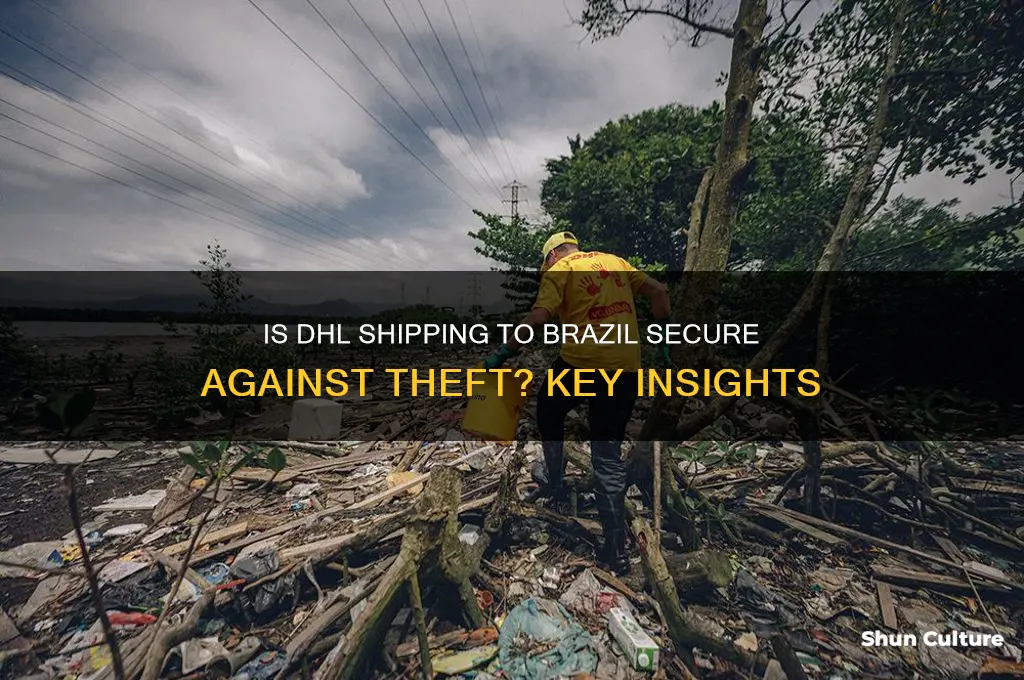 is dhl to brazil safe from theft