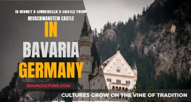 Cinderella's Castle: Neuschwanstein's Magical Disney Makeover