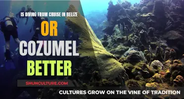 Belize or Cozumel: The Great Dive-Off