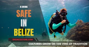 Belize's Diving Scene: Exploring the Safe Haven Beneath the Waves