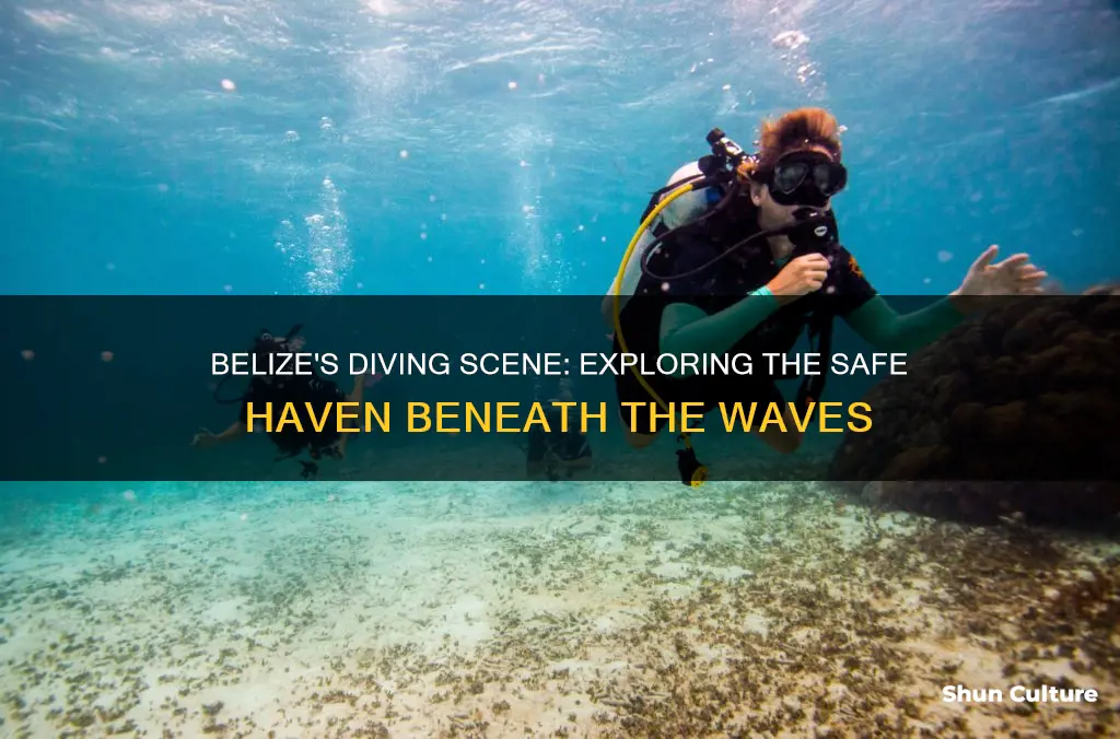 is diving safe in belize