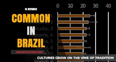 Divorce Rates in Brazil: Understanding Its Prevalence and Cultural Impact