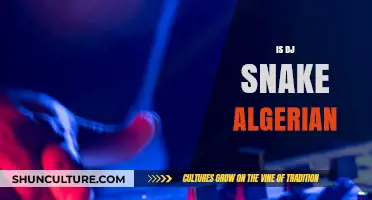 Is DJ Snake Algerian? Uncovering the Roots of the EDM Star