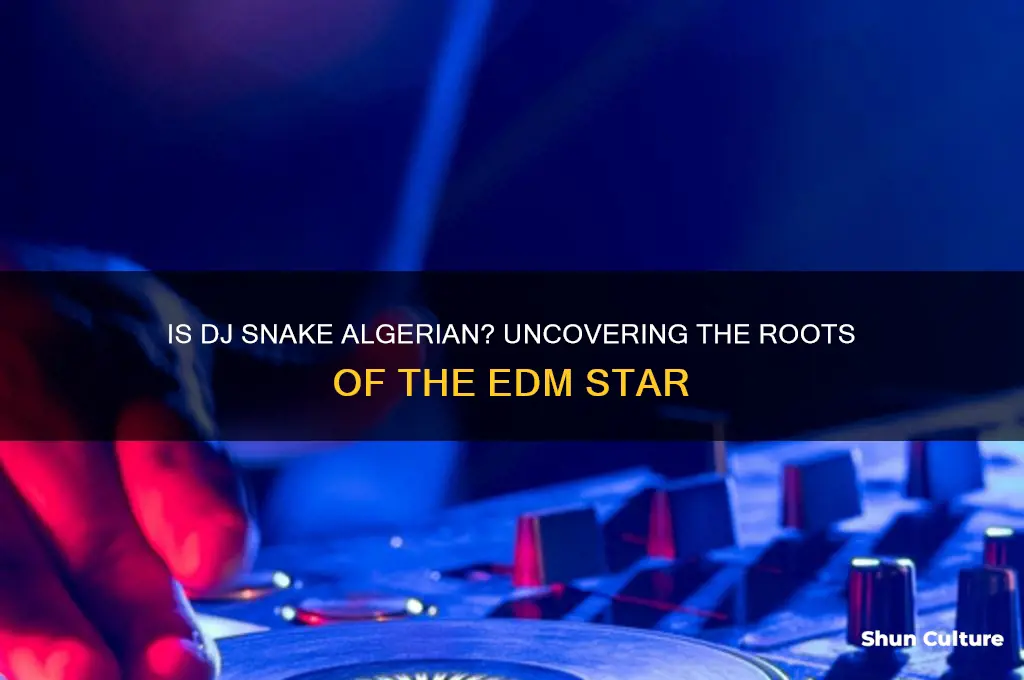 is dj snake algerian