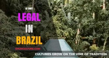 Is DMT Legal in Brazil? Exploring Ayahuasca's Legal Status
