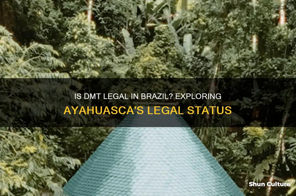 is dmt legal in brazil