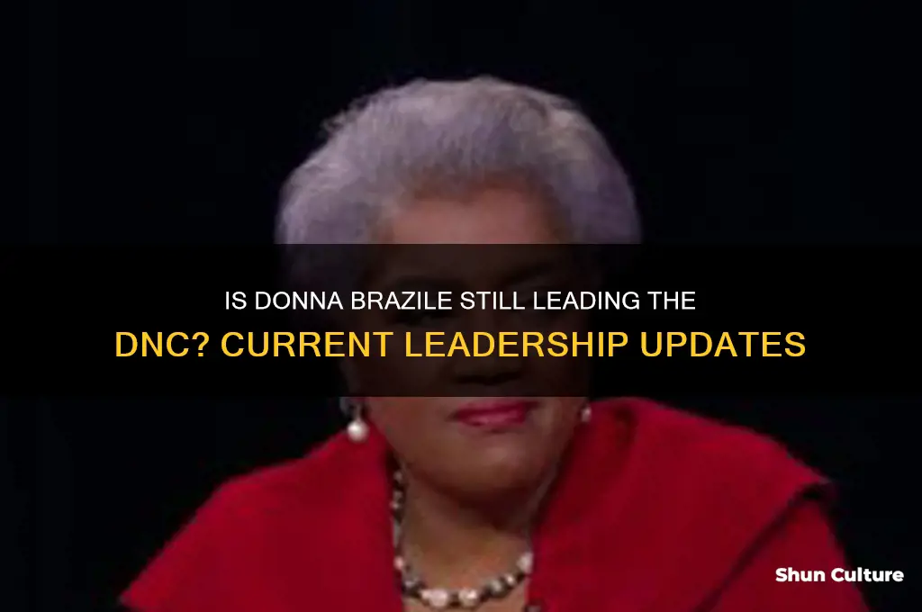 is dnna brazile still head of dnc