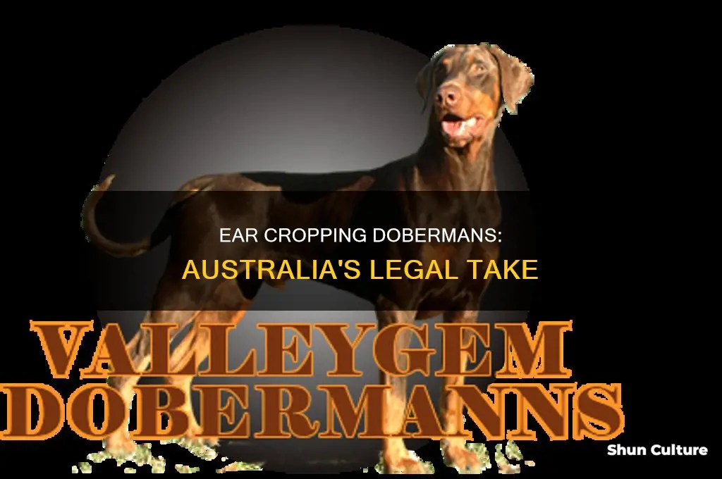 is doberman ear cropping illegal in australia