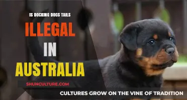 Tail Docking: Australia's Legal Stance on Dog Tail Docking
