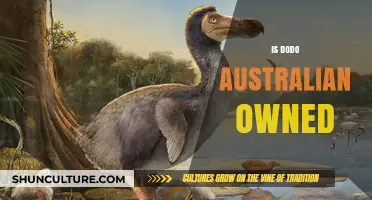 Who Owns Dodo? Exploring Australian Internet Service Ownership