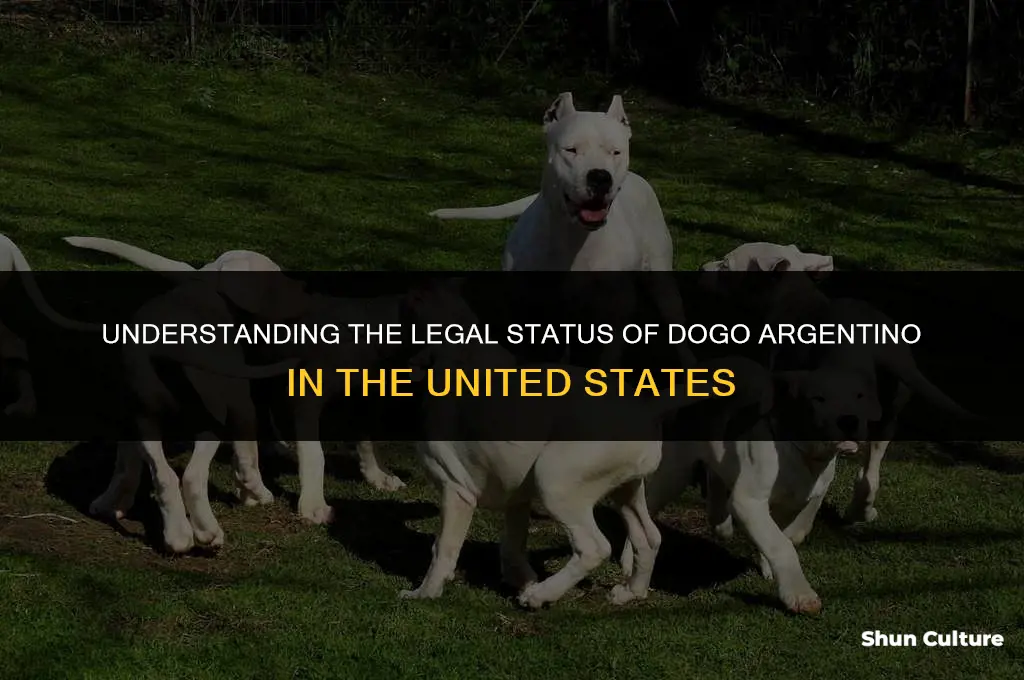 is dogo argentino banned in us