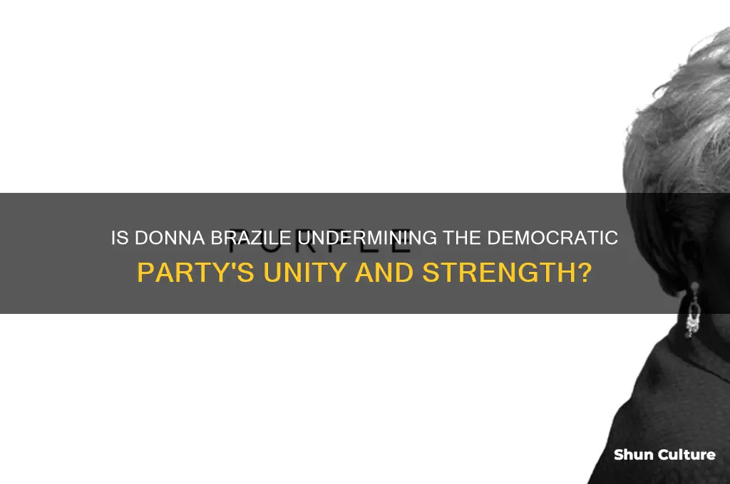 is donna brazil trying to hurt the democratic party