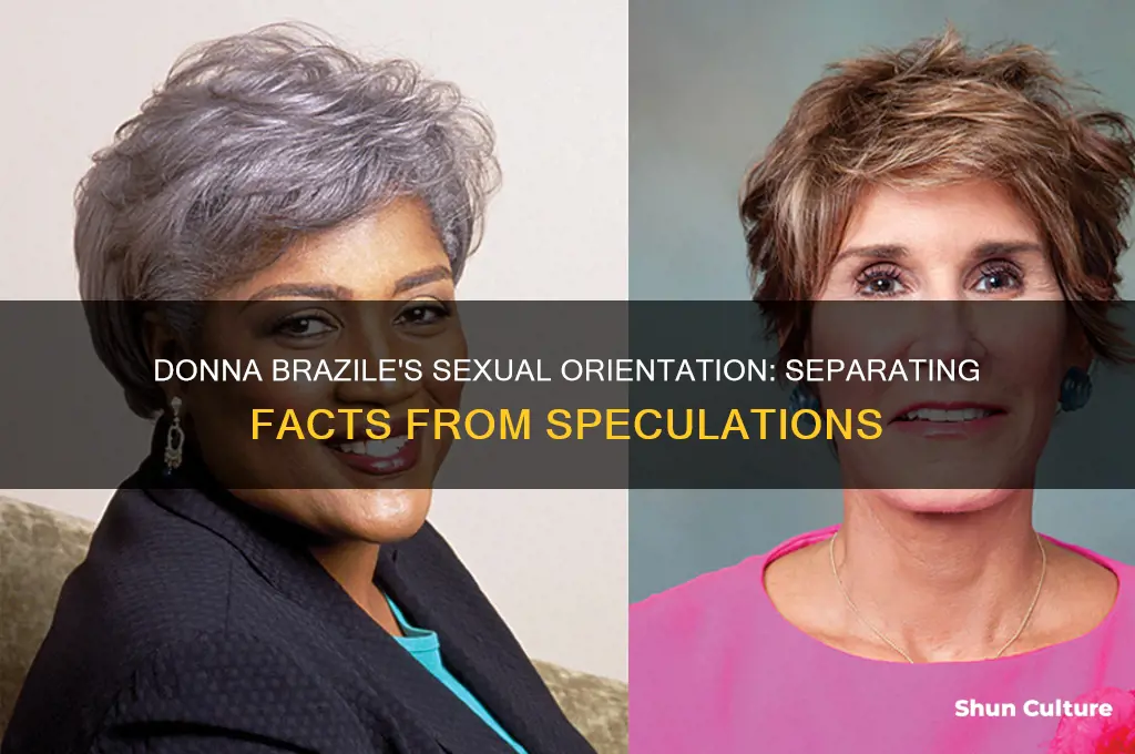 is donna brazile a lesbaian