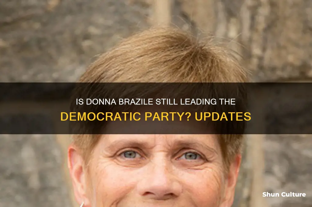 is donna brazile still interim head of democrat party