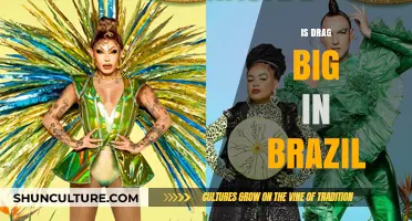 Brazil's Drag Scene: A Rising Cultural Phenomenon Explored