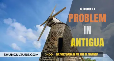 Antigua's Drinking Culture: A Growing Concern or Social Norm?