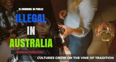 Drinking in Public: Australia's Legal Take