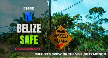 Navigating Belize's Roads: A Guide to Safe Driving