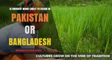Drought Risks Compared: Pakistan vs. Bangladesh – Which Faces Higher Threat?