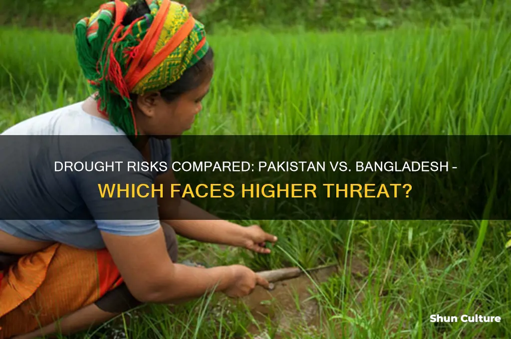 is drought more likely to occur in pakistan or bangladesh