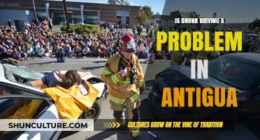 Drunk Driving in Antigua: A Growing Concern or Manageable Issue?