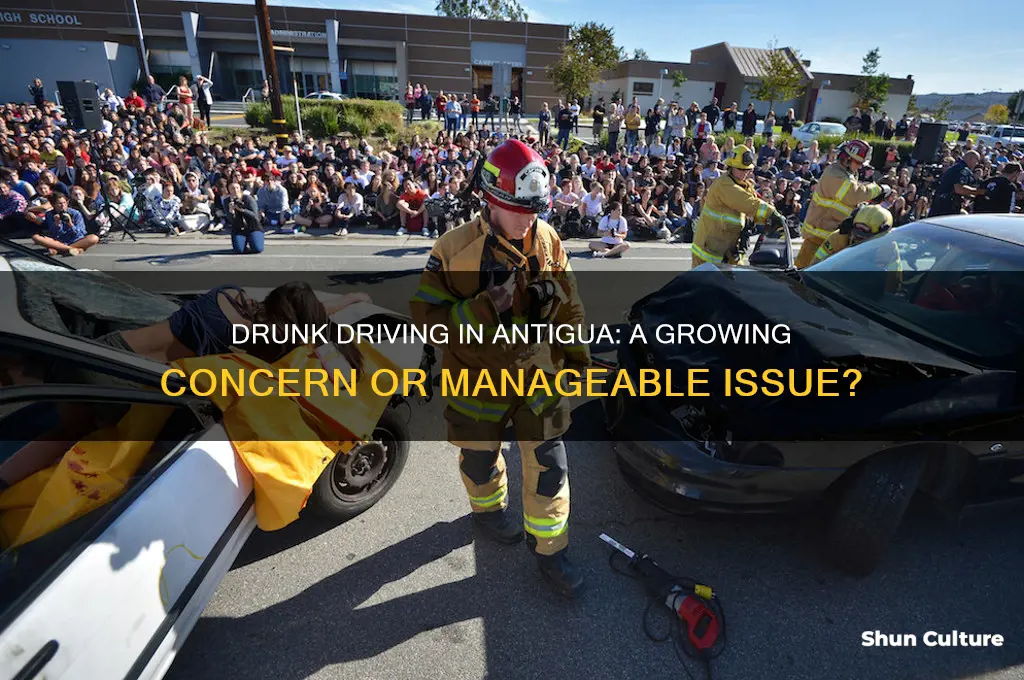 is drunk driving a problem in antigua
