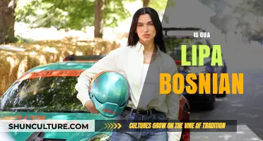 Is Dua Lipa Bosnian? Exploring Her Cultural Heritage and Roots