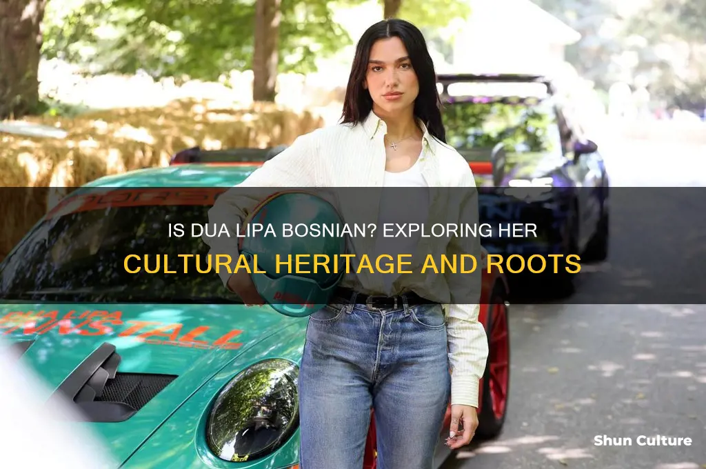is dua lipa bosnian
