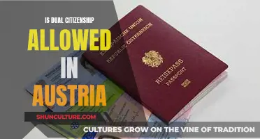 Dual Citizenship in Austria: What's Allowed?