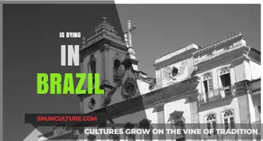 Exploring the Complex Realities of Mortality and Dying in Brazil