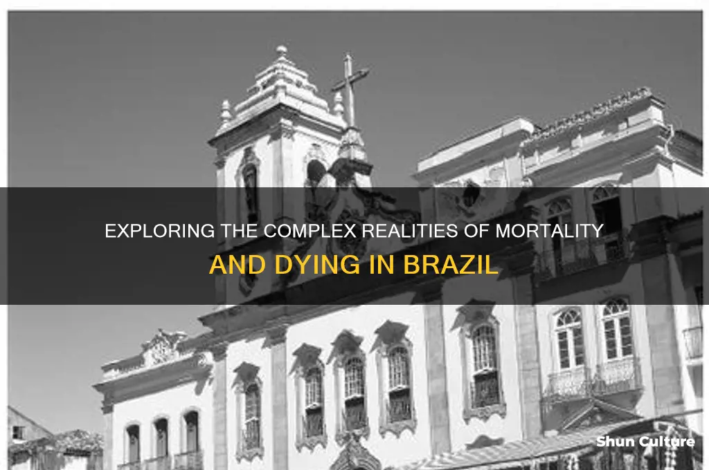 is dying in brazil