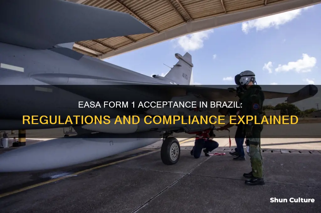 is easa form 1 accepted in brazil