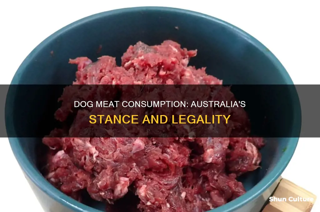 is eating dog illegal in australia