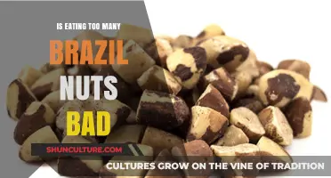 Are Brazil Nuts Harmful When Consumed in Excess? Find Out