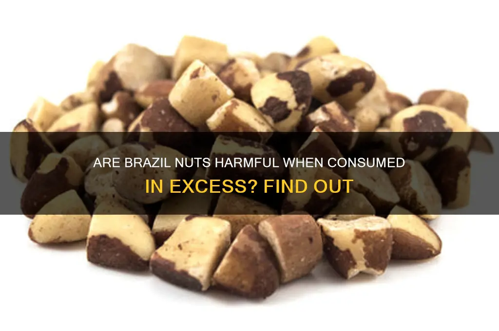 is eating too many brazil nuts bad