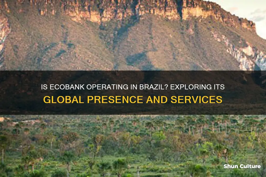 is ecobank in brazil