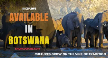 Is Ecoplexus Available in Botswana? Exploring Eco-Friendly Options Locally
