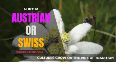 The Edelweiss: Austria or Switzerland, Who Does It Belong To?