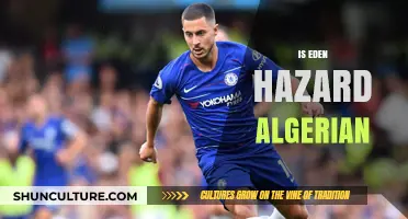 Is Eden Hazard Algerian? Unraveling the Truth Behind the Rumors