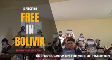 Bolivia's Education System: Free or Not?