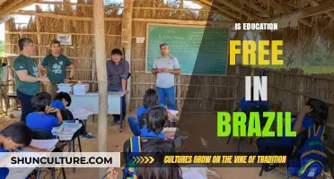 Is Education Free in Brazil? Exploring Public Schooling and Costs