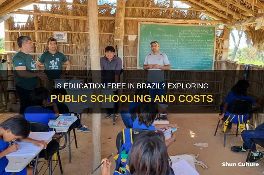 is education free in brazil
