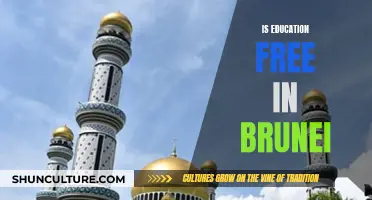 Education in Brunei: Is It Really Free?