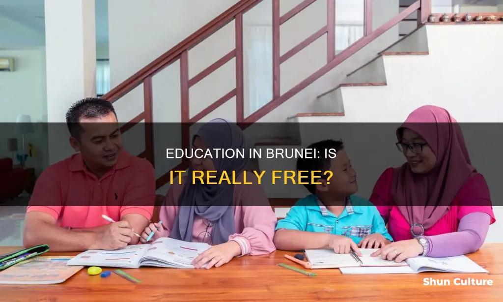 is education free in brunei